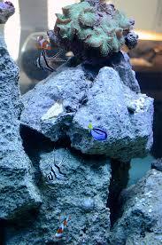 Tropical Aquarium Krk